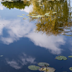 WONDERS OF OUR PLANET by Camille Massida Photography